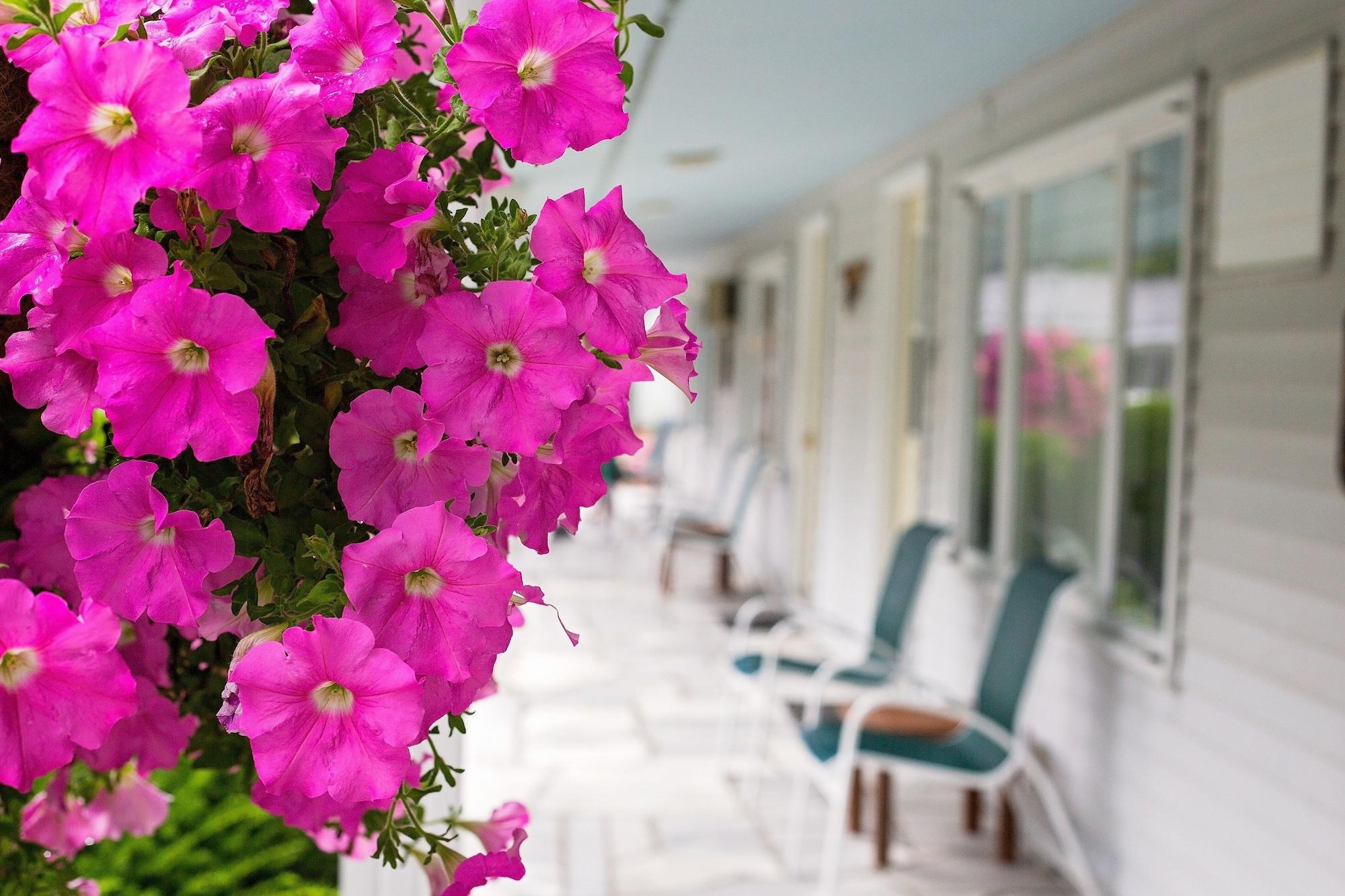 The Palmer House Resort, Ascend Hotel Collection Manchester Exteriör bild